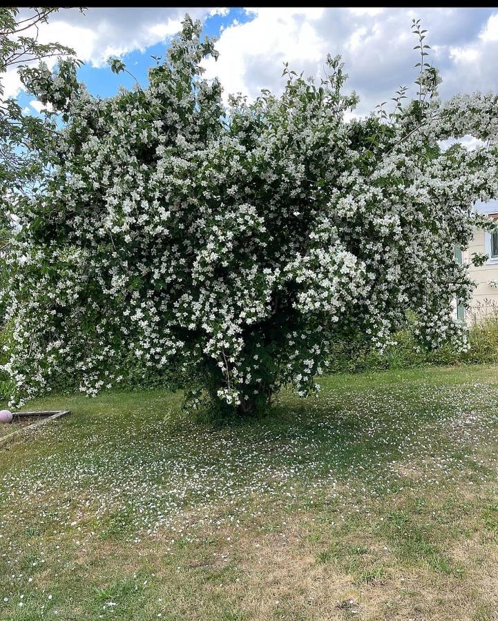 Bergkvara Vandrarhem Luaran gambar